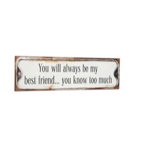Metal skilt 51x15cm You Will Always Be My Best Friend...You Know Too Much - Se flere Metal skilte
